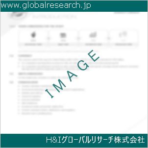 グローバルリサーチ調査資料のイメージ